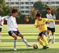 亚博体育-足球赛精彩的瞬间片段