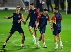 西班牙瑞士阵容