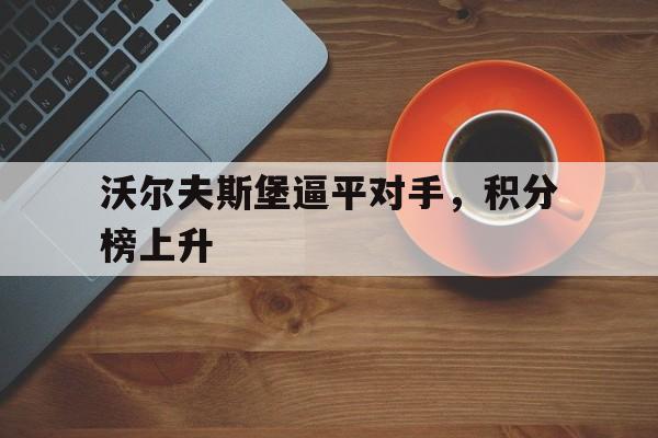 亚博体育-沃尔夫斯堡夺冠主力