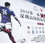 东西方对决的小说